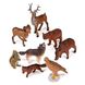 Набір фігурок лісових тварин Miniland Forest Animals, 8 шт. (25126) 25126 фото 2