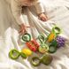 Брязкальце Oli & Carol Tomato Rattle Toy помідор (L-RATTLE-TOMATO) L-RATTLE-TOMATO фото 6