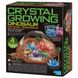 Набор для выращивания кристаллов Динозавры 4M (00-03926/EU) 00-03926/EU фото 1
