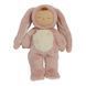 Кролик Flopsy Olli Ella (Cozy Dinkums) (OETCOZ-COZ-RO-O) OETCOZ-COZ-RO-O фото