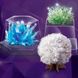 Набір для вирощування кристалів 4M (00-03917/EU/ML) 00-03917/EU/ML фото 5