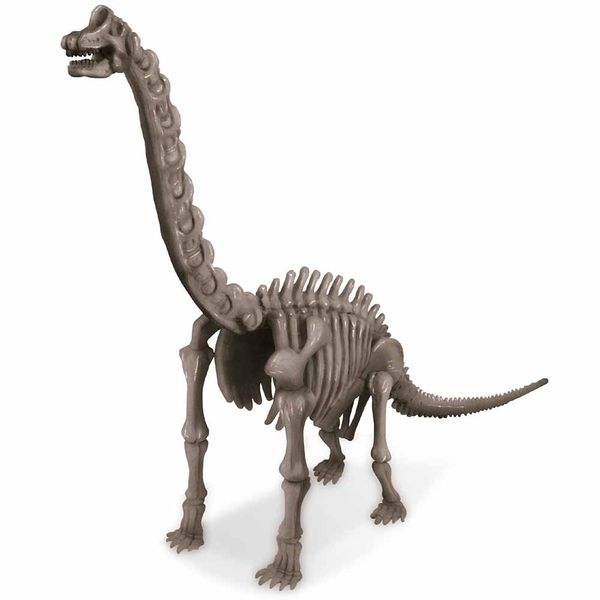 Набір для розкопок 4M Скелет брахіозавра (00-03237) 00-03237 фото