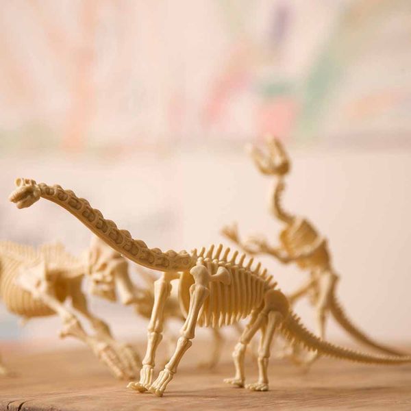 Набір для розкопок 4M Скелет брахіозавра (00-03237) 00-03237 фото